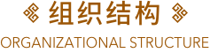 组织结构