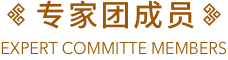 专家团队
